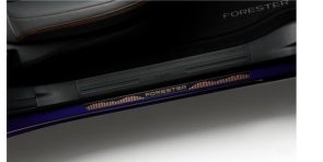 PLACA PISADERA LATERALES - BRONCE