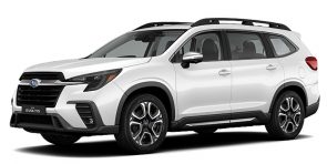 EVOLTIS LIMITED 2.4 GARDX
